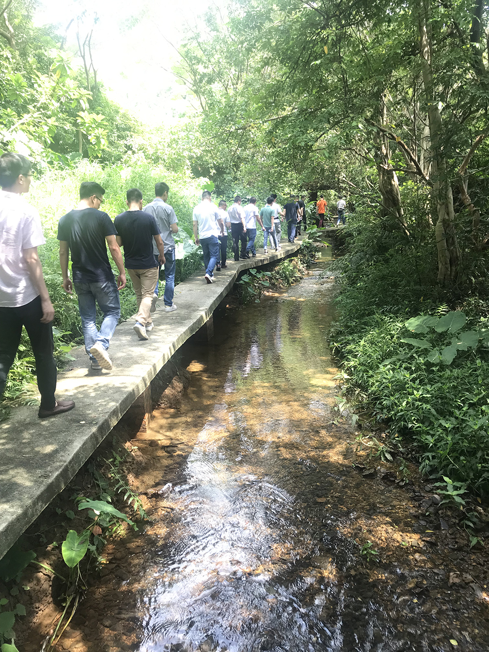 20190828153018872 888集团电子游戏(中国游)有限公司官网